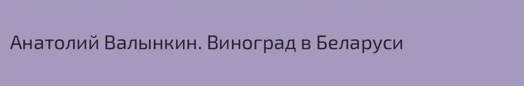 Анатолий Валынкин. Виноград в Беларуси